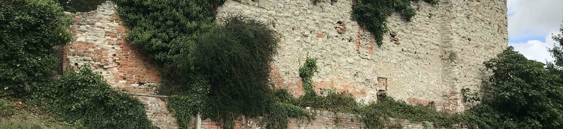 Stone wall remains covered with vegetation