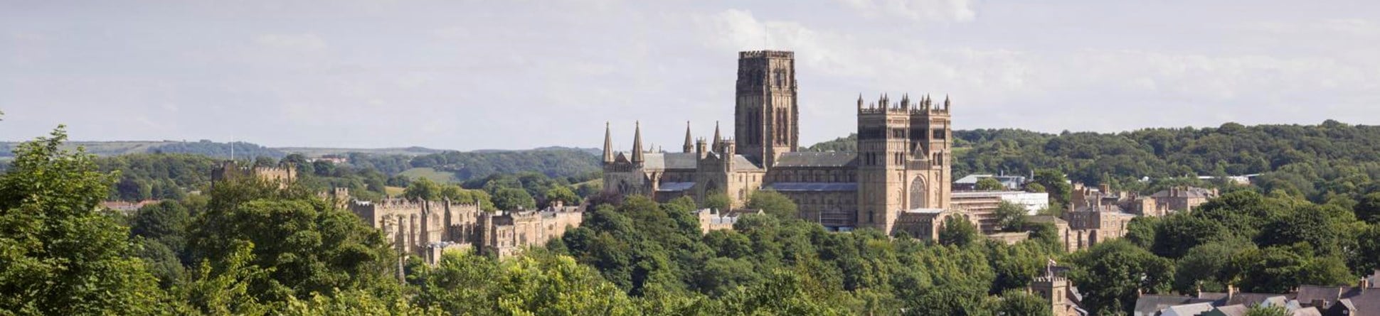 A photograph of a landscape view over the top of trees, with a cathedral in the distance underneath a blue sky.